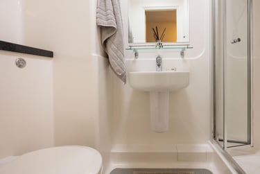 Bronze Ensuite - Image 4