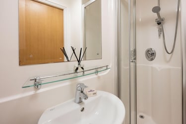 Bronze Ensuite - Image 5