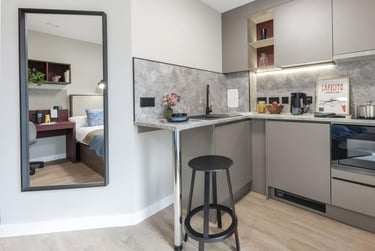 Large Premium Studio - Image 2