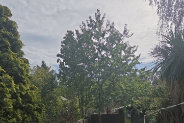 4 bed house, Blackbrook Road, City Centre, Loughborough, LE114PZ - Image 12