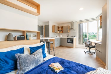 Studio Gold at Hillfort House, Moulsecoomb Way, Lewes Road, Brighton, BN24PB - Image 2