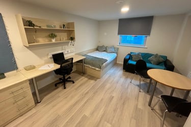 Studio Deluxe - Image 3
