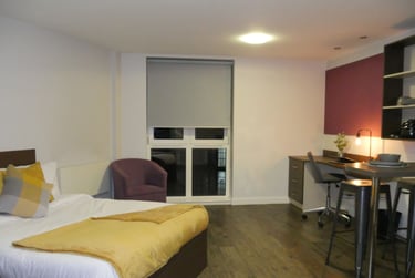 Studio Silver - Image 1