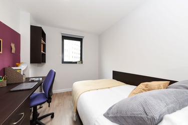 Ensuite Bronze at St Davids, Morfa Road, City Centre, Swansea, SA12DN - Image 1