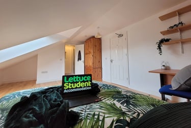 Room 11 Luxury En Suite in 11 bed house - Image 3