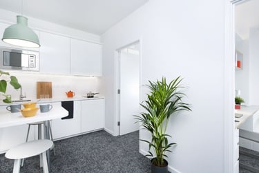Room in a Standard Two Bedroom Apartment Male at Scape Bloomsbury, Woburn Place, Camden, London, WC1H0NH - Image 2
