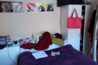 5 bed house, Dawlish Road, Selly Park, Birmingham, B297AT - Image 10