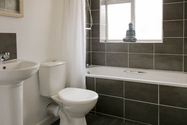 6 bed house, Houndiscombe Road, Mutley, Plymouth, PL46HB - Image 4