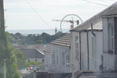 2 bed house, R/O Waterloo Street, North hill, Plymouth, PL48LY - Image 12