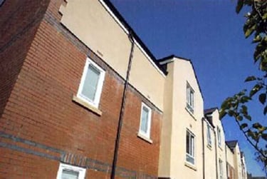 5 bed flat, Gwennyth Street, Cathays, Cardiff, CF244PH - Image 3