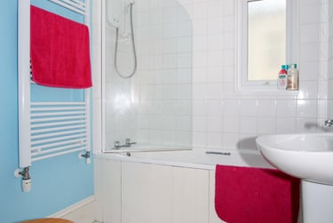 3 bed flat, Alexandra Road, Mutley, Plymouth, PL47JT - Image 6