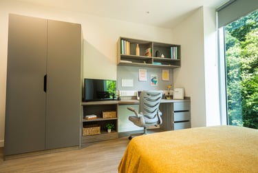 Deluxe En-suite at Albany Student Village, Albany Road, Earlsdon, Coventry, CV56JR - Image 2