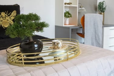 Quintessential Studio at Fraser Studios, 140 Causewayend, City Centre, Aberdeen, AB253TN - Image 4