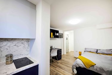 Prestige Studio at Mansion Place, 2 Boston Street, City Centre, Nottingham, NG11BG - Image 3