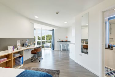 Silver Studio Accessible at Asa Briggs House, 6 St Johns Road, Woodhouse, Leeds, LS31FF - Image 14