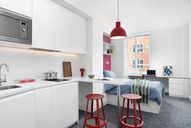 Scape Bloomsbury Student Halls, Woburn Place, Camden, London, WC1H 0NH - Image 4