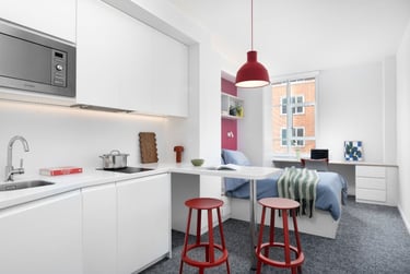 Scape Bloomsbury Student Halls, Woburn Place, Camden, London, WC1H 0NH - Image 12