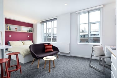 Scape Bloomsbury Student Halls, Woburn Place, Camden, London, WC1H 0NH - Image 14