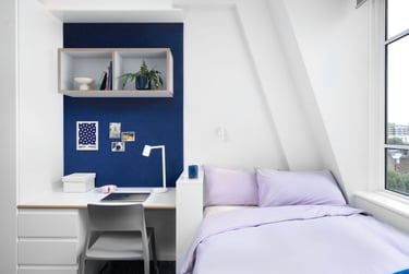 Scape Bloomsbury Student Halls, Woburn Place, Camden, London, WC1H 0NH - Image 15