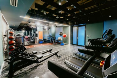 Portswood House Student Halls, 236 Portswood Road, Highfield, Southampton, SO17 2LB - Image 6