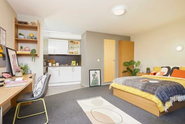 Jennens Court Student Halls, 250 Jennens Road, City Centre, Birmingham, B5 5JR - Image 1