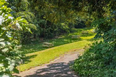 Beech Gardens Student Halls, Elvetham Road, Birmingham, B15 2NL - Image 10