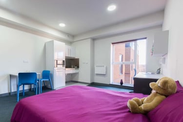 Stoke Student Village Student Halls, London Road, City Centre, Stoke, ST4 1AB - Image 8