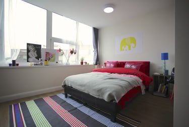 Apex Heights Student Halls, 31 Upper George Street, Central, Luton, LU1 2RD - Image 1