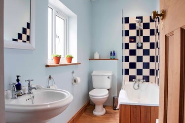 7 bed house, Earlham Road, Golden triangle, Norwich, NR47HL - Image 12