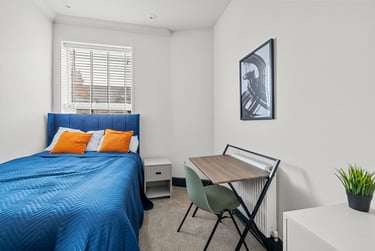 7 bed house, Hamilton Gardens, North Hill, Plymouth, PL46PQ - Image 13