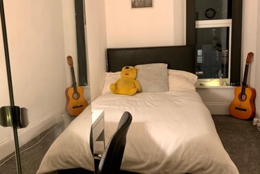 6 bed house, Alexandra Road, Mutley, Plymouth, PL47JT - Image 6