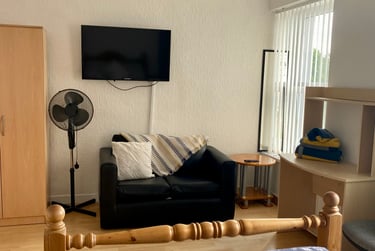 4 bed house, Picton Tce, City centre, Swansea, SA16XL - Image 3