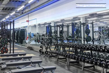 1 bed studio, Mansfield Road, Hockley, Nottingham, NG13FB - Image 4