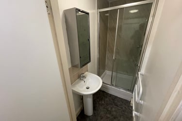 4 bed flat, St Albans Road, Brynmill, Swansea, SA20BP - Image 6