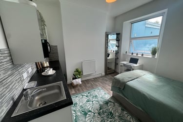 1 bed studio, Bryn Road, Brynmill, Swansea, SA20AR - Image 2