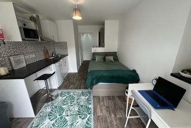 1 bed flat, Bryn Road, Brynmill, Swansea, SA20AR - Image 2