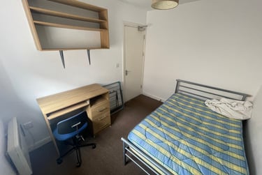 4 bed flat, St Albans Road, Brynmill, Swansea, SA20BP - Image 9