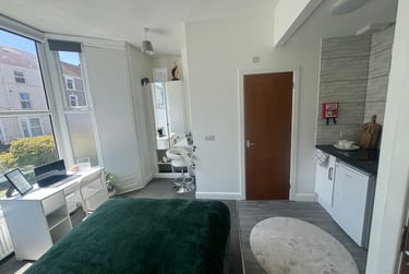 1 bed studio, Bryn Road, Brynmill, Swansea, SA20AR - Image 3