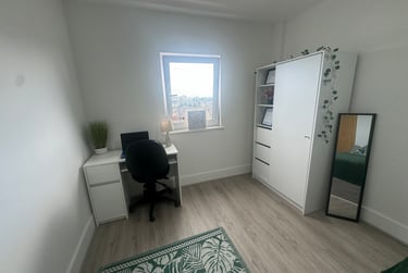 2 bed flat, St Helens Road, Mount Pleasant, Swansea, SA14DQ - Image 9