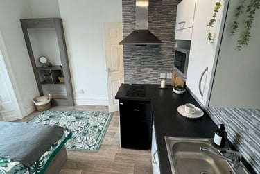 1 bed studio, Malvern Terrace, Brynmill, Swansea, SA20BE - Image 3