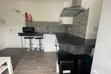 2 bed flat, Bryn Road, Brynmill, Swansea, SA20AR - Image 4