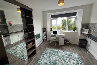 1 bed studio, Bryn Road, Brynmill, Swansea, SA20AR - Image 4