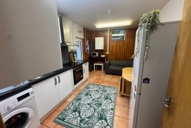 2 bed flat, Bryn Road, Brynmill, Swansea, SA20AT - Image 4