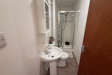 3 bed flat, Bryn Road, Brynmill, Swansea, SA20AR - Image 8