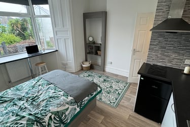 1 bed studio, Malvern Terrace, Brynmill, Swansea, SA20BE - Image 4