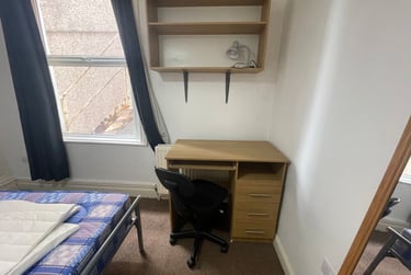 4 bed flat, St Albans Road, Brynmill, Swansea, SA20BP - Image 14