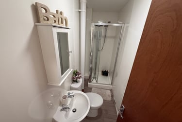 3 bed flat, Bryn Road, Brynmill, Swansea, SA20AR - Image 9