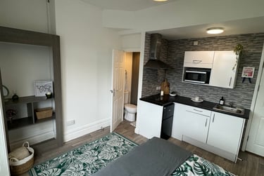 1 bed studio, Malvern Terrace, Brynmill, Swansea, SA20BE - Image 5