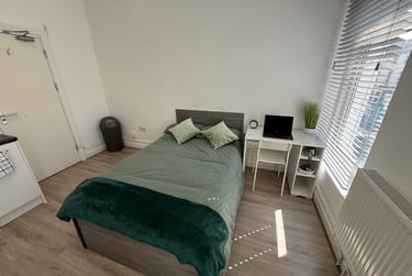 1 bed studio, Bryn Road, Brynmill, Swansea, SA20AR - Image 5