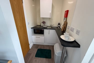 1 bed studio, Finsbury Terrace, Brynmill, Swansea, SA20AH - Image 6